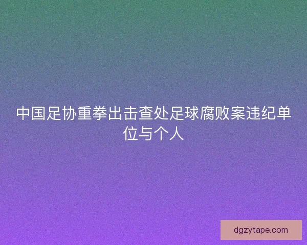 中国足协重拳出击查处足球腐败案违纪单位与个人